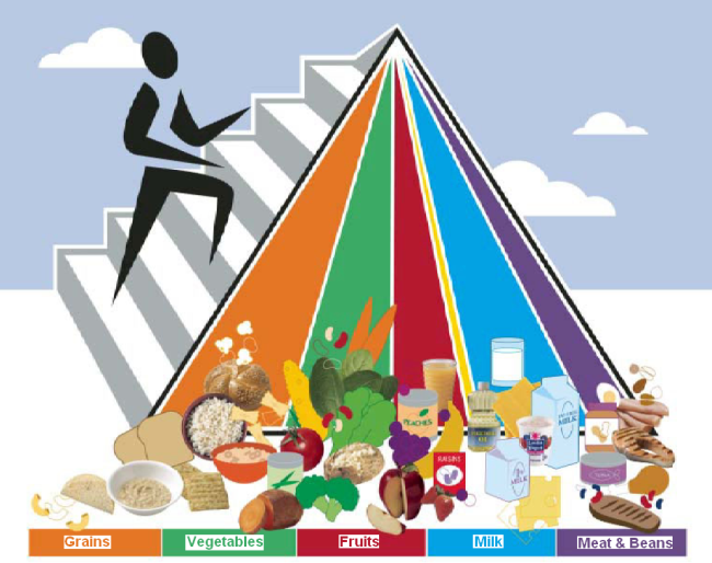 Food pyramid