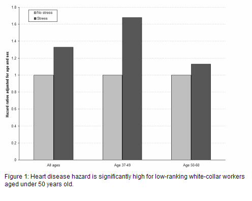 coronary heart disease hazard ratio of low-ranking white-collar workers of both sexes exposed to work stress, with the values of 1.33 for all ages, 1.68 for ages between 37 and 49, and 1.13 for ages between 50 and 60, all against a ratio of 1.00 for the same cohorts not exposed to stress